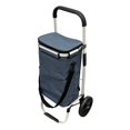 thumbnail image 1 of Foldable Shopping Cart, Grocery Bag Trolley with Wheels, Insulated and Removeable Bag, Aluminum Frame (Navy), 1 of 4