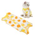 thumbnail image 1 of Combinaison de Convalescence pour Chat Combinaison de Convalescence pour Chaton Grenouillère pour Chat Alternative au Collier en E pour Chats et Chiens Peau Abdominale Pyjama Anti-Léchage, 1 of 8