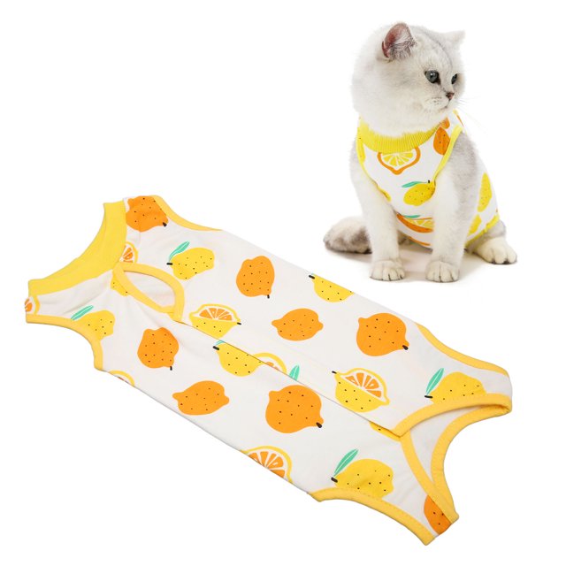 Combinaison de Convalescence pour Chat Combinaison de Convalescence pour Chaton Grenouillère pour Chat Alternative au Collier en E pour Chats et Chiens Peau Abdominale Pyjama Anti-Léchage