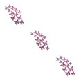 thumbnail image 2 of Transemion Glitter And Exquisite Stickers For Amazing Home Decor With Butterflies Various LK12 Rose Red 3Set, 2 of 6