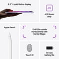 thumbnail image 4 of Refurbished 2021 Apple iPad Mini (Wi-Fi, 64GB) - Starlight, 4 of 6