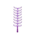 thumbnail image 1 of Kit Templat Shaping Eyebrow Stencil Styles Stencil Eyebrow DIY 8 Grooming Shapes Beauty Tools, 1 of 6