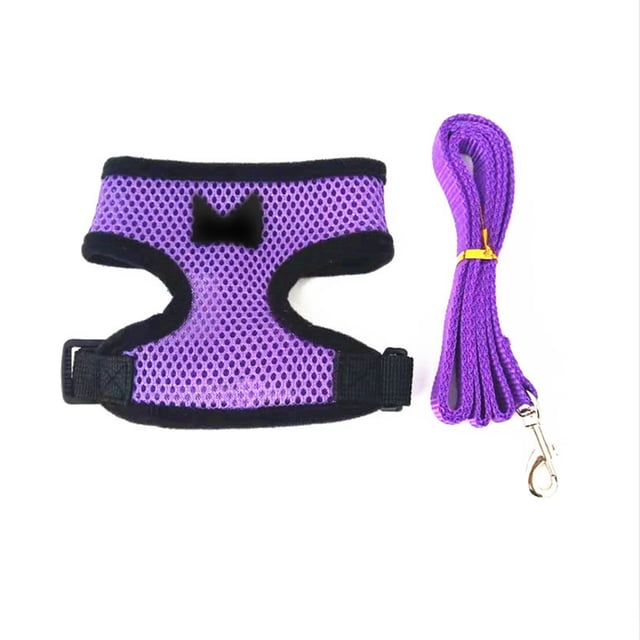 Chicken Leash Pet Chicken Leash Pet Leash