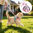thumbnail image 1 of Pet Harness and Leash Set, Breathable Mesh Vest with Adjustable Straps, Color Block Dog Cat Walking Strap, Polyester, Orange/Pink/Red/Green/Blue, 1 Set, 1 of 6