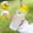 Yellow, variant on Sports Water Bottle, EDHITNR Large Capacity 550ml Portable Shaker Cup, Leak-Proof BPA-Free Plastic Protein Shaker with Measurement Marks for Gym Outdoor, White