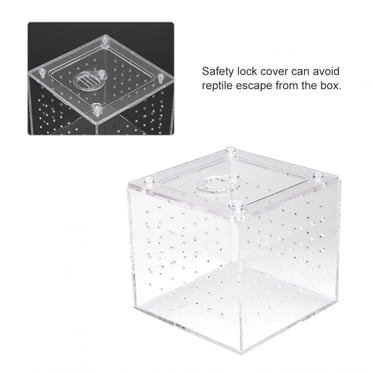 Reptile Enclosure, Reptile Terrarium Spider Enclosure 3.9x3.9x3.5in Acrylic Transport Spider Terrariums Breeding Box Feeding Box for Tarantulas Geckos Crickets Insects