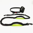 thumbnail image 4 of Training Dog Leash - Training Dog to Walk on a Leash, 4 of 10