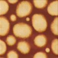 thumbnail image 1 of Ahgly Tapis d'Intérieur Lavable en Machine Carré Transitionnel Orange Bière, 5 Pieds Carré, 1 of 7
