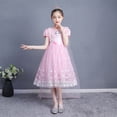 thumbnail image 3 of HAWEE Grisl Elsa Princess Dress Queen Costume Cosplay Dress Up with Accessories(Not Include Cape), 3 of 7