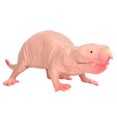 thumbnail image 2 of Plastic Mole Model, Lifelike Interesting Safe Plastic Mole Figurine Widely Use  For Collection For Office Decoration For Children, 2 of 8