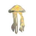 thumbnail image 2 of Kbndieu Jellyfish Lamp Jellyfish Lamp Ensemble de Matériaux, Gadgets du Réveillon du Nouvel An, Gadgets du Réveillon, Décorations, Décoration de Chambre, Gadgets de Table Essentiels pour la Maison, 2 of 4