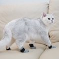 thumbnail image 4 of 4Pcs Cat Small Dog Nail Caps Claw Covers Shoes  Socks Anti-Scratch Pet Grooming Booties Bathing Shaving, 4 of 8