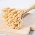 thumbnail image 2 of Coofit Dry Flower Branch DIY 24PCS Simple Natural Dried Grass Stem Dry Grass Decor, 2 of 8