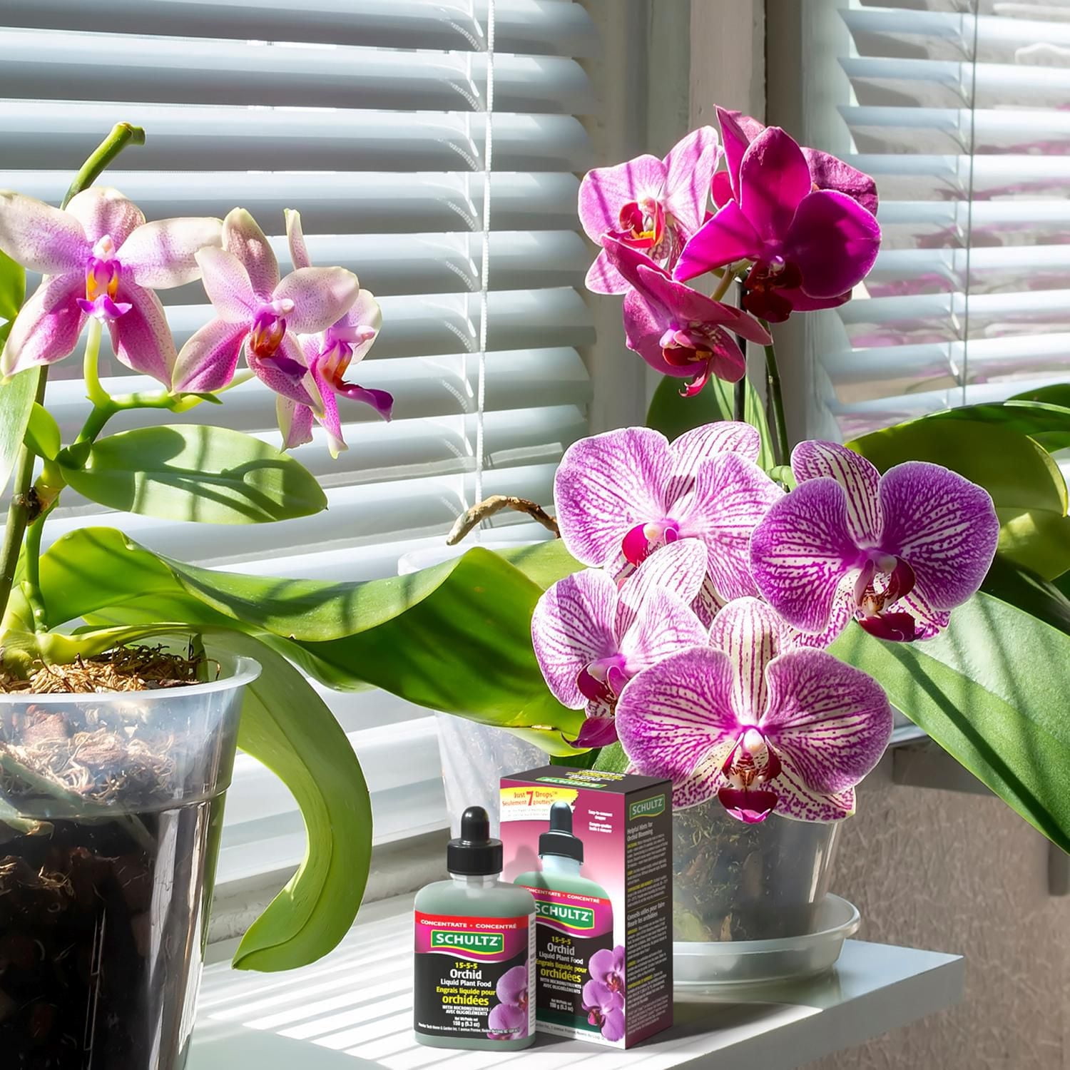 Engrais liquide pour orchidées 15-5-5 de Schultz® 150 g