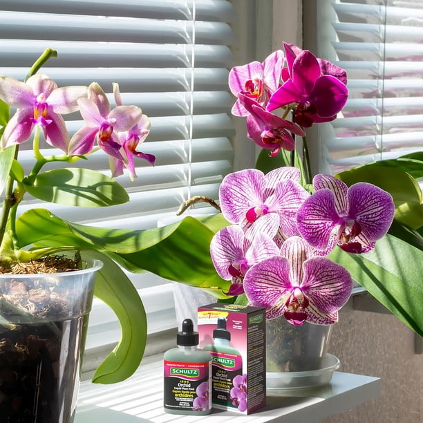 Schultz® Orchid Liquid Plant Food 15-5-5 150 g - Walmart.ca