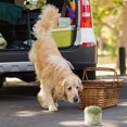 thumbnail image 4 of Outdoor Dog Tr Eat Holder Airtight Home Organization And Storage Must Haves Canisters for Kitchen Counter Small Containers with Lids for Organizing Kitchen Organization Closet Storage Containers, 4 of 4
