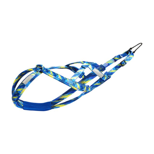 Dog Running Harness, Pulling Harness, Speed Training, Sport, Professional, Sled Blue Medium