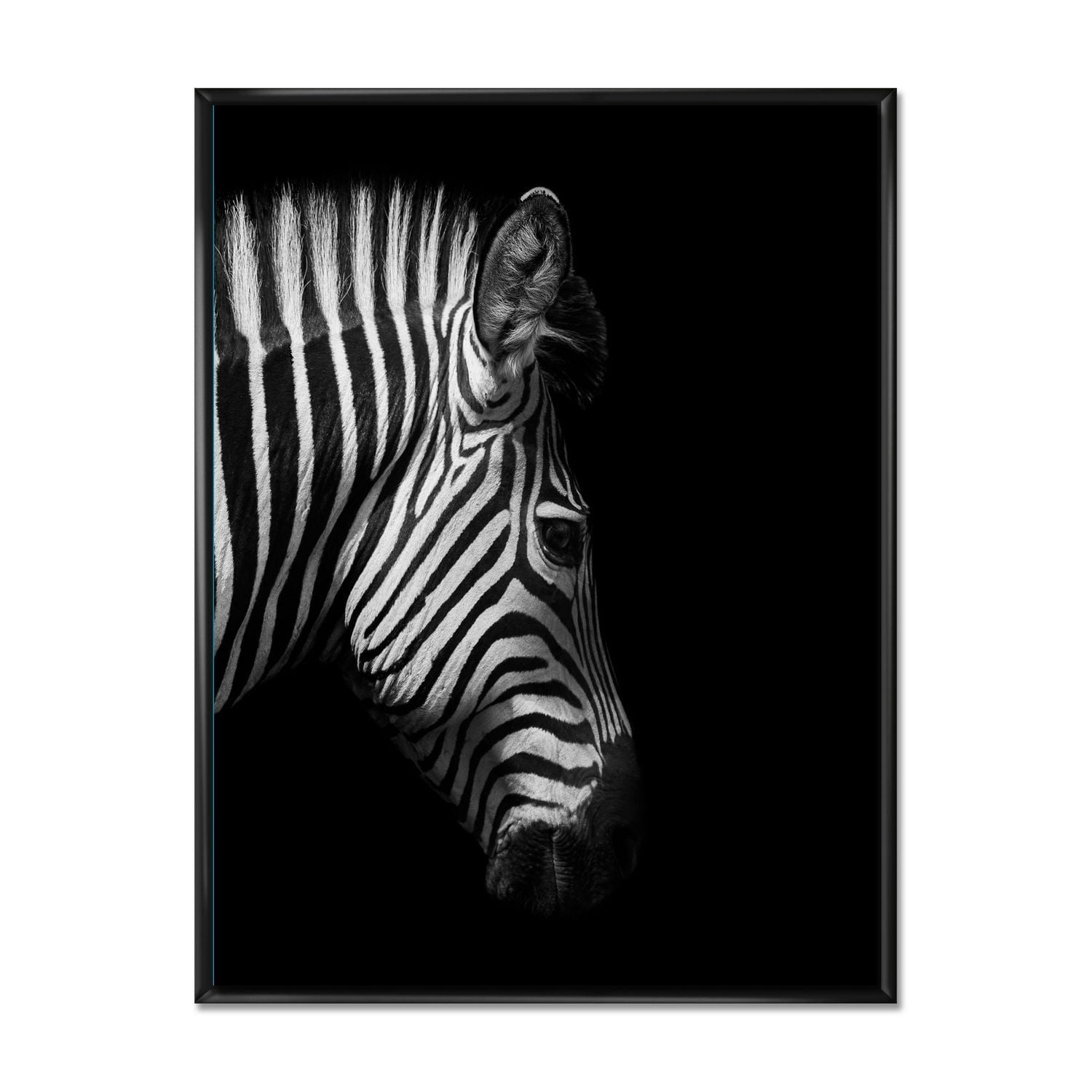 Designart Portrait monochrome de tête de zèbre ART MURAL À CADRE FLOTTÉ