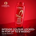 thumbnail image 3 of Color Radiance, Color Protect Shampoo, 3 of 9