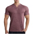 thumbnail image 1 of Men's Muscle T Shirts Stretch Short Sleeve V Neck Bodybuilding Workout Tee Shirts Slim Fit Ribbed Knit Shirt, 1 of 4