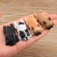 thumbnail image 4 of koolsoo 2Pcs Adorable Chien Résine Artisanat Décorations Maison de Poupée Créative Bricolage Jouet, 4 of 8
