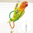 thumbnail image 4 of Parrot Exercise Toy with Climbing Swing Rings for Small Birds Budgie Lovebird Cage Activity Play Gym, 4 of 4