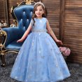 thumbnail image 1 of EGNMCR Vêtements pour Bébé Fille Robe pour Enfants Fille Sans Manches Robe de Princesse Motif Flocon de Neige Imprimé Tulle Longue Robe Canoniques, 1 of 9