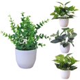 thumbnail image 2 of 2 Pcs Fresh Artificial Foliage Plant Potted Bonsai Wedding Party Mall Desktop Decor(Type 1), 2 of 9