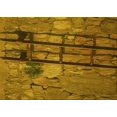 thumbnail image 1 of Ahgly Company Machine Washable Indoor Rectangle Transitional Dark Bronze Brown Area Rugs, 7' x 9', 1 of 7