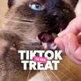 thumbnail image 4 of BONKERS Bites Catnip & Chick 'N' Cheddar Flavour Crunchy & Soft Treats for Cats, 450g Tub, 4 of 9