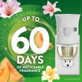 thumbnail image 2 of Air Wick Plug In Scented Oil 10 Refills, Summer Delights, Eco Friendly, Essential Oils, Air Freshener, 2 of 9