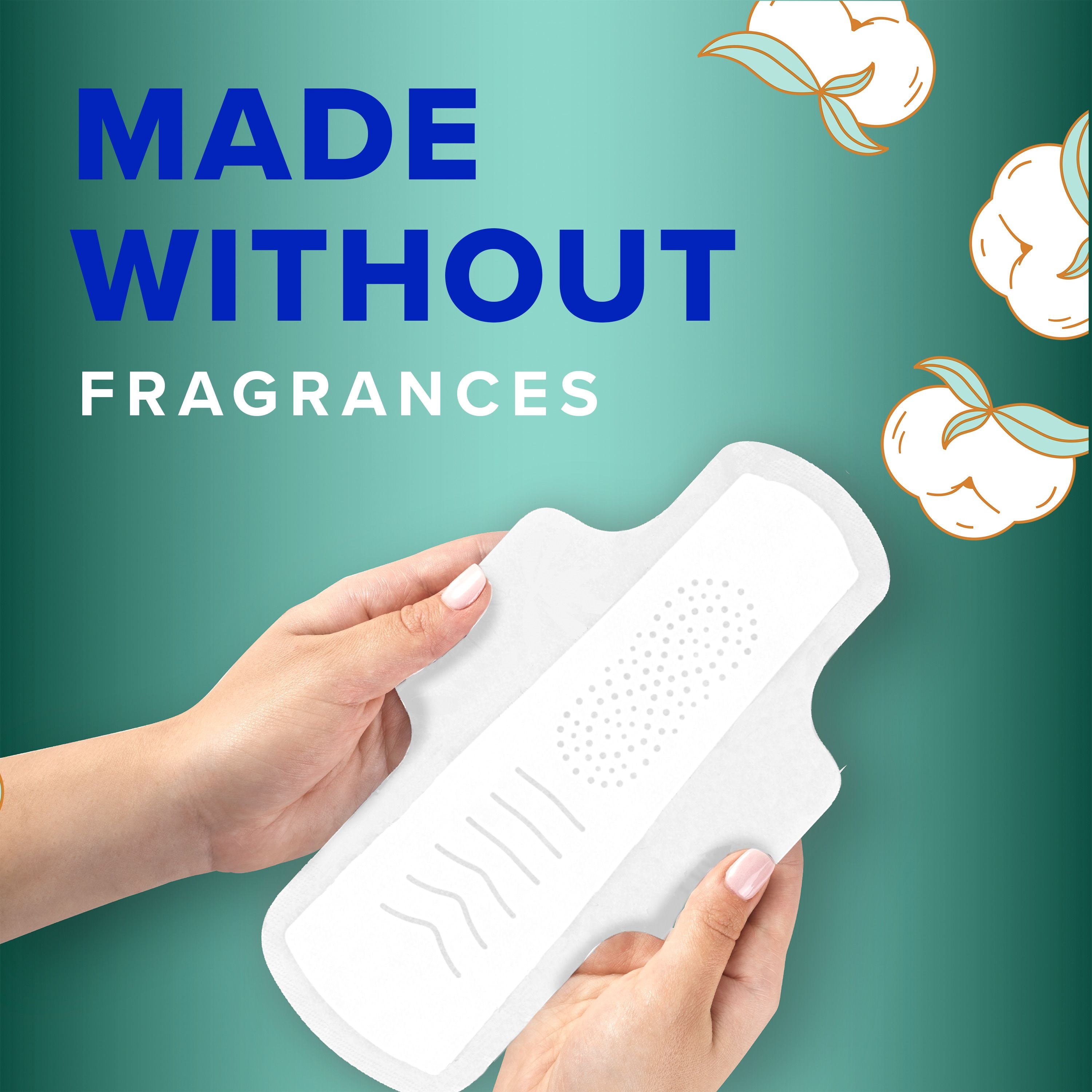 Always Coton Pur Serviettes Hygiéniques pour Femmes, Taille 5, de Nuit, Flux Très Abondant, avec Ailes, Non Parfumées