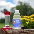 thumbnail image 2 of More Birds All-Natural Clear Hummingbird Nectar Concentrate – 32 fl oz, 2 of 4