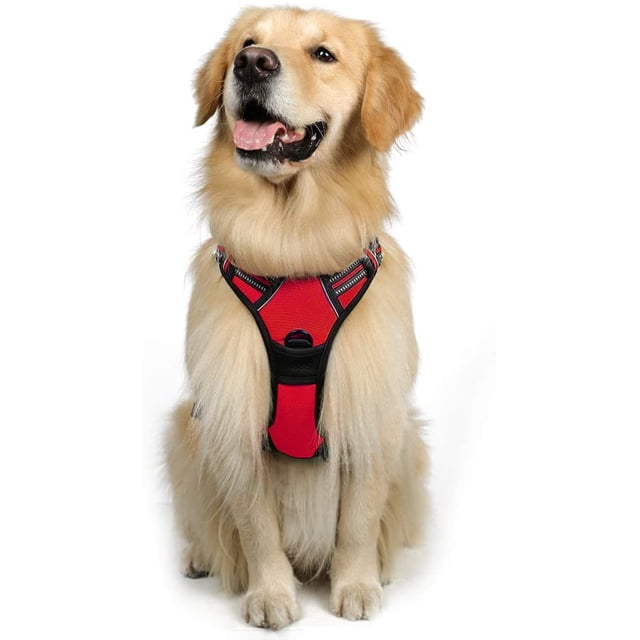 rabbitgoo Harnais pour Chien, Harnais pour Animal de Compagnie Anti-Traction avec 2 Pinces pour Laisse (Rouge)