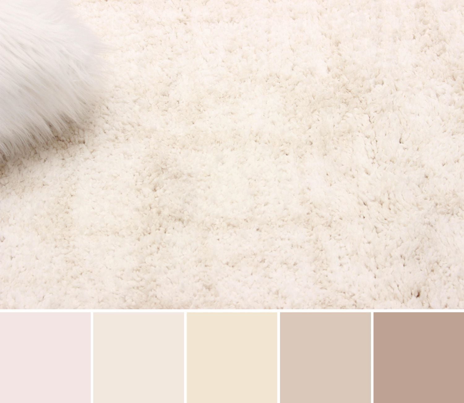 ECARPET Playa Contemporary/Modern, Plush & Shags Area Rug for Living Room, Bedroom, Dining Room, Entrance, Hallway and More.