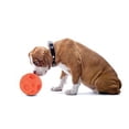 thumbnail image 4 of Omega Paw Tricky Treat Ball Dog Toy - Large, 4 of 7