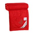 thumbnail image 1 of Decodeary Couette d'Été Portable Couleur Unie Réutilisable Imprimée Respirante Chaude Accessoires de Literie Brossés Rouge, 1 of 9