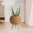 thumbnail image 2 of DOLITY Plant Basket with Legs Rattan Basket Decorative Simple Basket Planter Flower Pot Ball Light Brown, 2 of 9