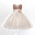 thumbnail image 2 of Robes pour Tout-Petites Fille Volants Robe en Tulle pour Bébé Fille Robe de Printemps pour Filles Robe de Fête pour Filles Robes pour Bébé 3-4 Ans, 2 of 4