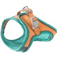 thumbnail image 4 of TIMIFIS Cat Harness Cat Belt and Leash Set Walking Adjustable Puppy Mesh Vest S/XL Cat Harness And Leash - Fall, 4 of 6