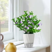 Todaioua Plant Pots 6 inch, Self Watering Flower Pots Indoor Outdoor, Planters with Clear Saucer Reservoir for Spider Plant, Orchid, African Violet