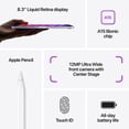thumbnail image 5 of Apple iPad Mini 6 – 64GB | Wi-Fi + Cellular | 8.3” Liquid Retina Display | A15 Bionic Chip | Excellent – Certified Refurbished, 5 of 5