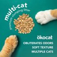 thumbnail image 3 of Okocat Litière Multi-Chats en Bois Naturel, 3 of 3