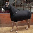 thumbnail image 2 of Sleazy Sleepwear For Horses Full Body Sleazy Purple S, 2 of 4