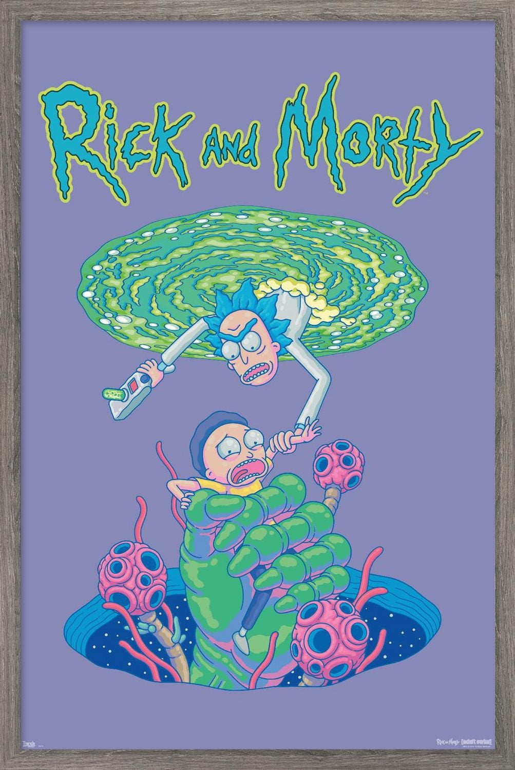 Rick And Morty - Portal Fall Wall Poster, 22.375" x 34"
