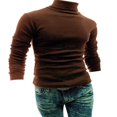 thumbnail image 1 of Chandail à Col Roulé pour Hommes, Tricoté, Décontracté, Haut, T-Shirt, Chandail, 1 of 3