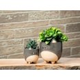 thumbnail image 5 of Abbott Collection AB-27-CRITTER-829-LG 5 in. Cat on Legs Planter, Grey - Large, 5 of 5