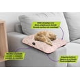 thumbnail image 2 of Lit Sofur Rose Moyen Cat and Dog Bed, 2 of 4
