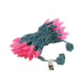 thumbnail image 3 of Novelty Lights 70 Light C6 LED Christmas Mini Light Set, Commercial Grade Outdoor String Lights, Pink, Green Wire, 24 Feet, 3 of 8