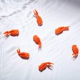 thumbnail image 2 of Labymos 20pcs Artificial Fish Fake Fish Plastic Floating Fish for Artificial Aquarium Orange Goldfish Ornament, 2 of 8